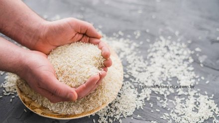 ADEUS Importação de Arroz, veja as estratégias do Governo para Aumentar o Cultivo - Reprodução