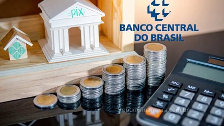 Banco Central Surpreende brasileiros com decisão sobre Pix Garantido como alternativo a transações - Reprodução