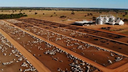 Conheça a Fazenda com mais de 100 mil cabeças de Gado localizada no Brasil - Reprodução