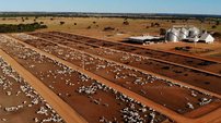 Conheça a Fazenda com mais de 100 mil cabeças de Gado localizada no Brasil - Reprodução