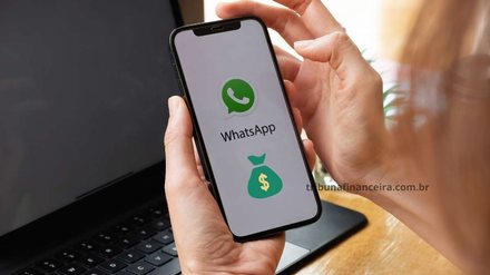 LIBERADO empréstimo pelo WhatsApp para ALEGRIA DOS BRASILEIROS! 4 grandes Bancos já estão operando - Reprodução