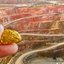 SAIU a Primeira remessa de Ouro dessa cidade no Brasil que será a 3° maior mina do país