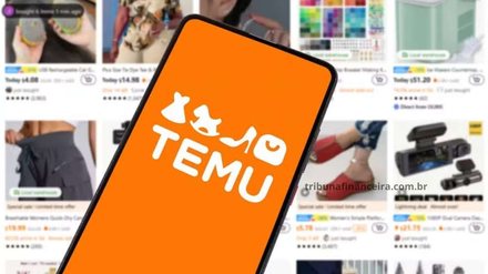 TEMU: como cadastrar produtos para venda? Guia completo passo a passo - Reprodução