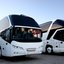 Passear de ônibus totalmente de GRAÇA no Brasil é possível! Veja grupo de brasileiros com este benefício