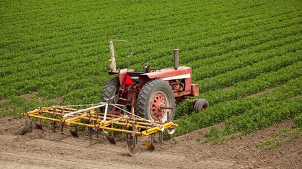 BRDE libera mais de R$ 650 milhões em crédito e impulsiona pequenos negócios em SC