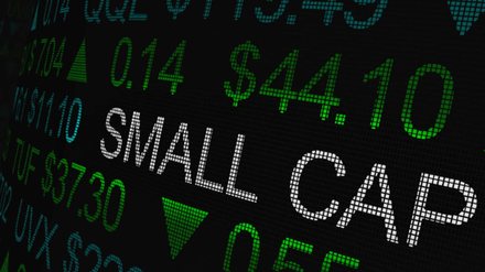 Small caps: o guia completo para entender e investir com estratégia - Imagem: Reprodução - Edição: Tribuna Financeira