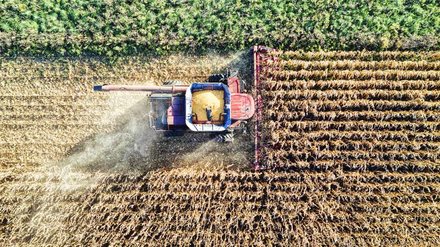 Argentina tenta salvar exportação de soja após rejeição europeia a transgênicos - Imagem: Reprodução - Edição: Tribuna Financeira