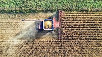 Argentina tenta salvar exportação de soja após rejeição europeia a transgênicos - Imagem: Reprodução - Edição: Tribuna Financeira