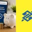 Banco do Brasil aposta no Tesouro Reserva para atrair brasileiros em busca de segurança e rendimento