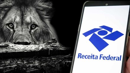 Caiu na malha fina? Veja os erros que mais travam o Imposto de Renda - Imagem: Reprodução - Edição: Tribuna Financeira