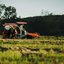 Lucro do Banco do Brasil despenca 54% e agro vira principal pressão