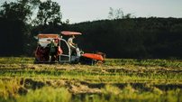 Lucro do Banco do Brasil despenca 54% e agro vira principal pressão - Imagem: Reprodução - Edição: Tribuna Financeira